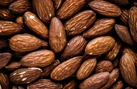 تصویر 3 از قیمت خرید بادام درختی شاهرودی + فروش ویژه